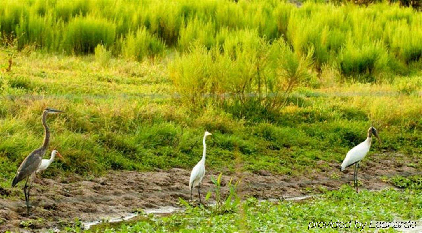 Hampton Inn Okeechobee - Lake Okeechobee Esterno foto