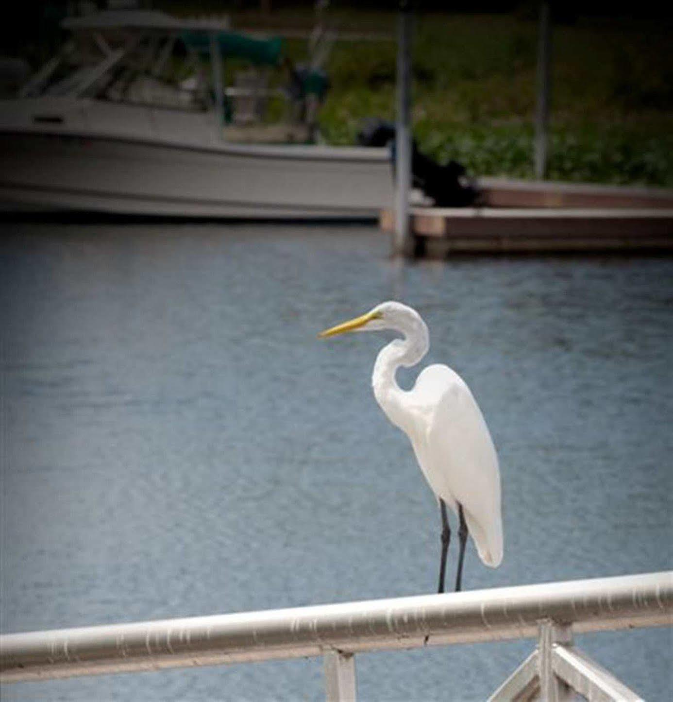 Hampton Inn Okeechobee - Lake Okeechobee Esterno foto