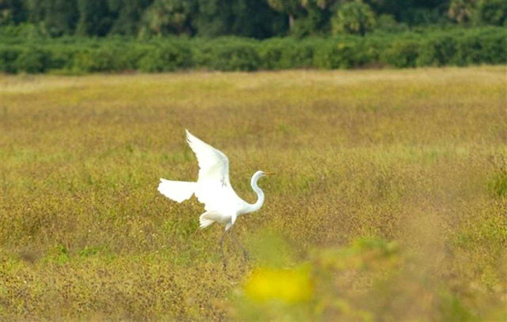 Hampton Inn Okeechobee - Lake Okeechobee Esterno foto